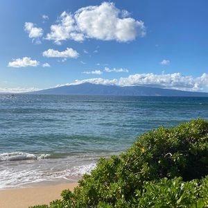 Meet your Posher, Dylan